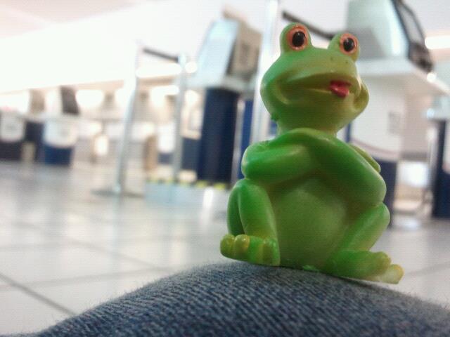 As an "extra" to my life: I have a collection of frogs. Don't ask me why, because I honestly have no clue. People seem to buy them for me, and this is my most recent one (of 6). He's from Puerto Rico. 