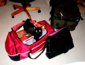 See? I tried moving away, but I had a problem lifting all of my bags by myself. So I stayed.