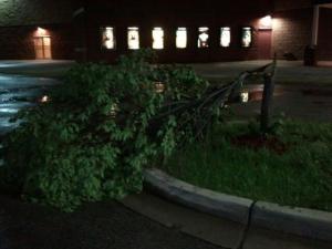 The night I went we had tornadic weather, and this tree got struck by lightning right before we got there! 