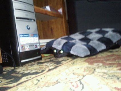 Even I get scared somethings (mainly by my neighbor's dog, but that's not the point.)