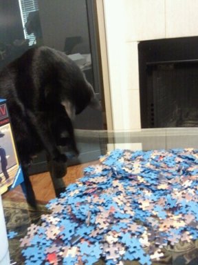 This was the beginning of my masterpiece. I even lost some pieces. But at least I could fill them in with my own creativity.