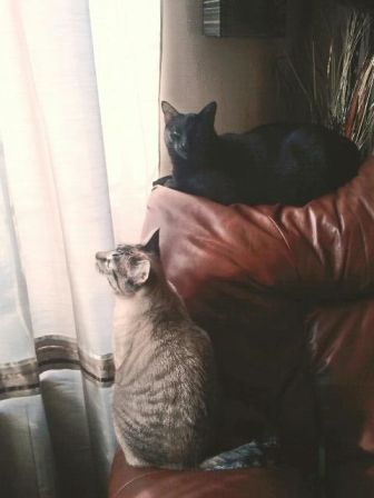 This was my book release party.