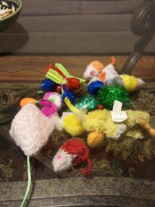 Bogart's pile of toys he collects in places on a regular basis.