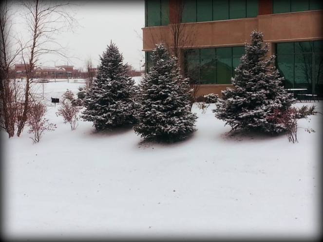 Tis’ snowing here in Kansas land.