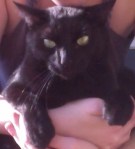 This is Bogart’s skeptical face.