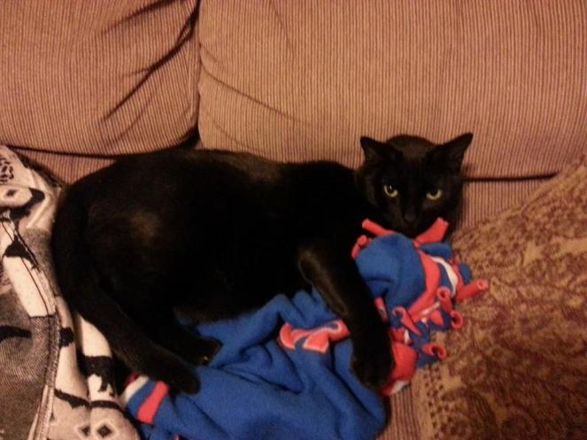 He’s a little mad at me after the vet, but he’ll come around. 