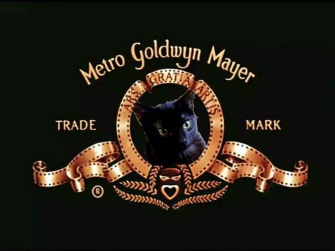 This is not the real trademark. That is my cat.