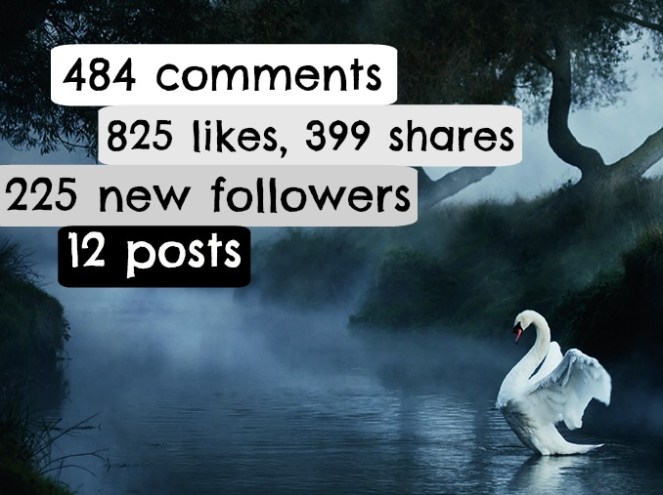 Calculated on January 29, at 19,252 followers 