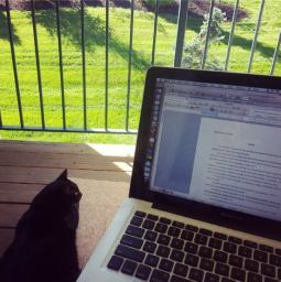 How are we supposed to concentrate on such a beautiful day? 