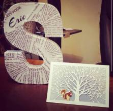 774959_954867311227117_7029831497832645098_o