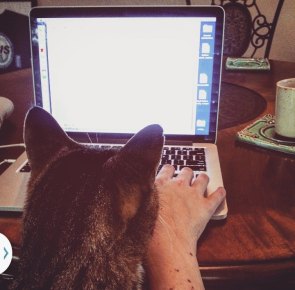 My cats help me edit, too. 