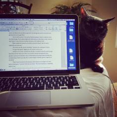 Bogart judged me harshly this week. 