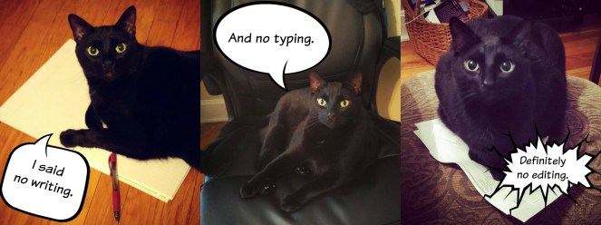 Bogart the cat keeping me in line during my writing break