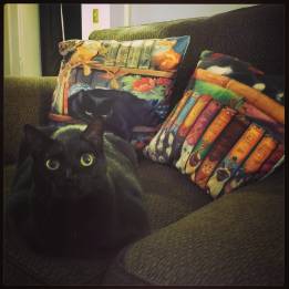 38720844_1838154042898435_6206065130963206144_o