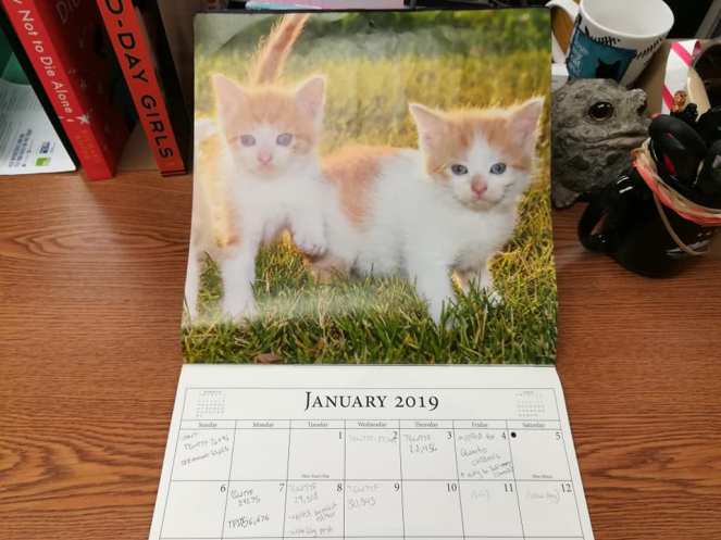 55564291_4415243497900_4289950379061280768_n